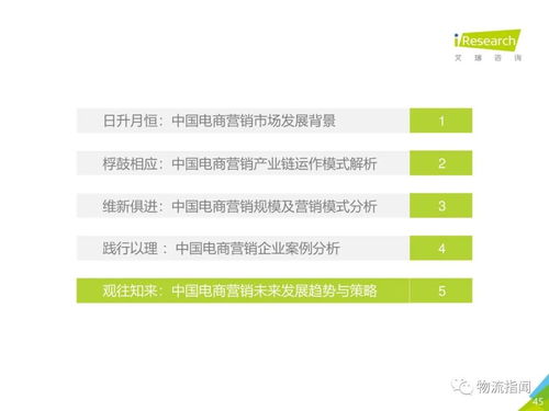 2020中国电商市场营销研究报告 市场经营策划与增长策略