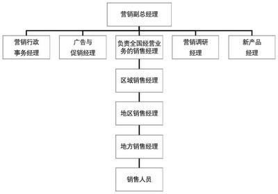 市场营销策划实操指导手册 从战略到执行的全流程解析